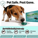 Pack Of 5 Imported Strong Pest Control Bait – Fast Action ( Buy 1 Get 4 Free)