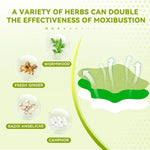 Natural Herbal Knee Patch (Pack of 12)