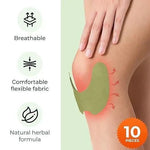 Natural Herbal Knee Patch (Pack of 12)